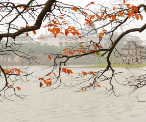 Experience the Poetry of Autumn in Hanoi